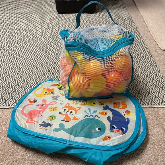 Colorful Kids Play Ball Pit - Picture 8 of 8